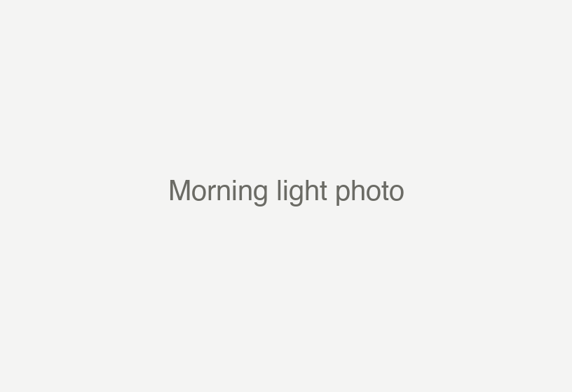 Morning light photo